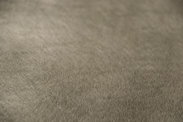 Basalt fiber roofing tissue for building materials