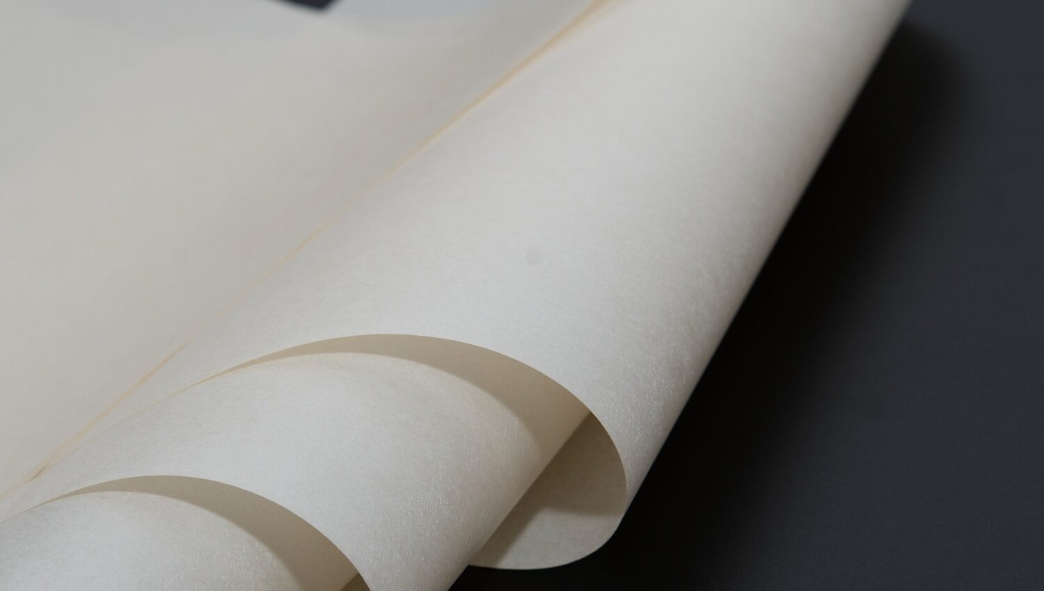 PPS fiber Wet-laid Nonwoven