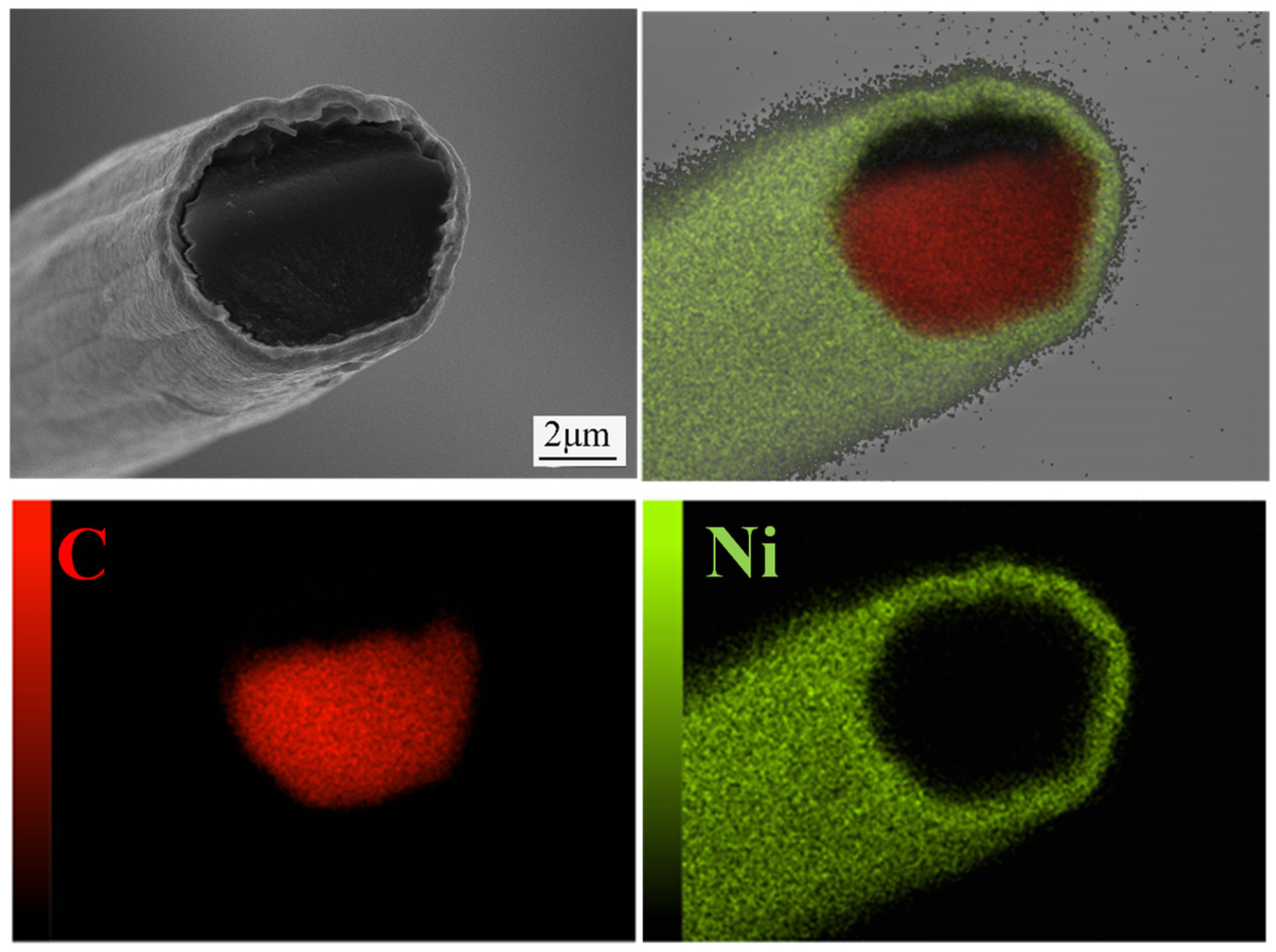 SEM cross-section and carbon/nickel elemental maps of an electroplated carbon fiber research specimen