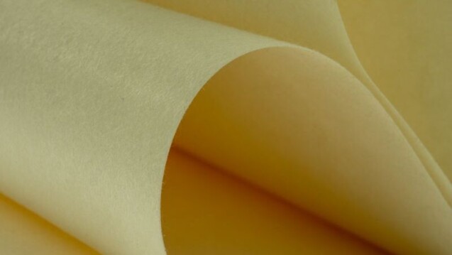 PPS Nonwoven