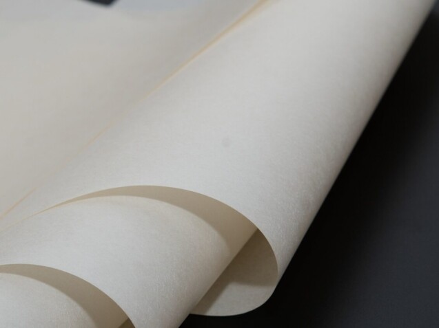 PPS fiber Wet-laid Nonwoven