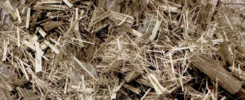 Short-cut Nickel Plated Narbon Fiber