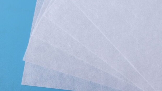wet nonwoven fabric